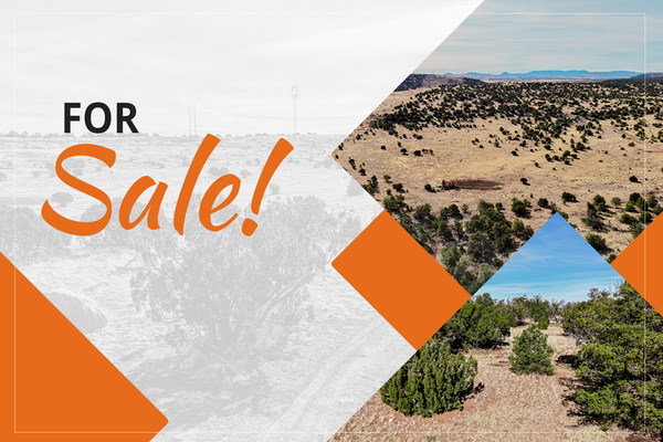Undeveloped Land in Quemado, NM - Owner Financing Available!
