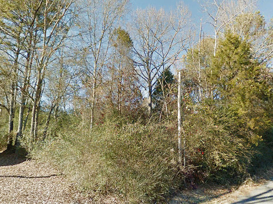 0.43 acres in Etowah, Alabama - Less than $180/month
