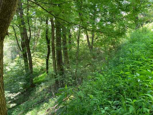 Ashe County Camping Land Near the River: Only $552/Month!