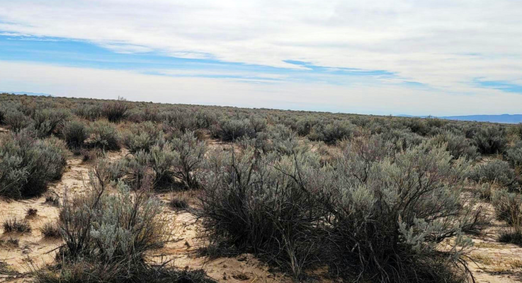 Find Your Peace: 0.264-Acre Land for Sale in Valencia, NM!