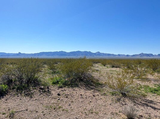 SOLD!! Build your dream home on this 2.35-acres of raw land in Mohave County, Arizona for only $189/month!