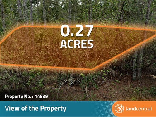 0.27 acres in Putnam, Florida - Less than $150/month