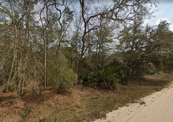 Enjoy The Thrills of Florida on This 0.43-Acre Lot in Putnam County. Just $360/Mo.!