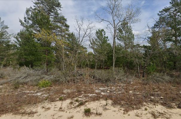 .22 Acre Lot and ONLY $180/mo! - MOBILE HOME FRIENDLY!