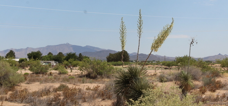 Deming, NM: 1 Acre for JUST $175/Mo! *Electricity Nearby*