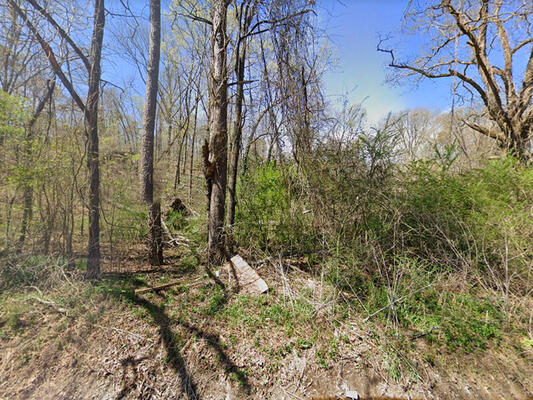 0.23 acres in Calhoun County, Alabama - Less than $190/month