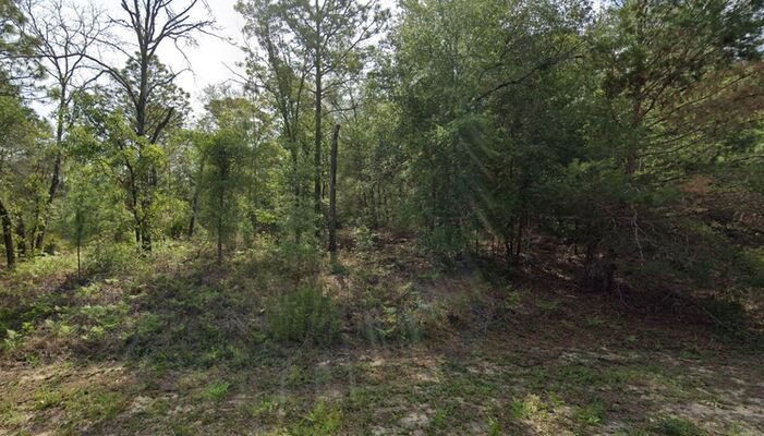 Make Your Lemonade on 0.19 Acres in Citrus, FL $273.84/Mo.
