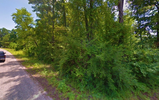 0.56 Acre in Hemphill, Texas (only $250 a month)