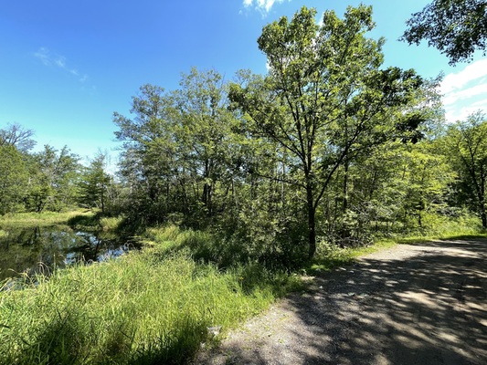 Get Away from it All on a 0.9-acre Lot with Access to Fishing and Hunting - Low Monthly Payments