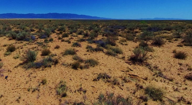 Modest 0.25-Acre RV Lot in Valencia, NM! ONLY $67/Mo.