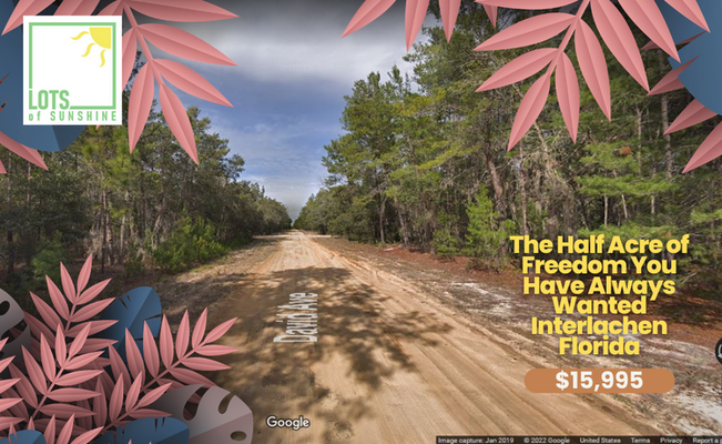 The Half Acre of Freedom You Have Always Wanted Interlachen Florida