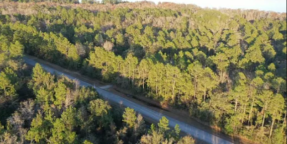 0.86-Acre Opportunity available in Putnam, FL