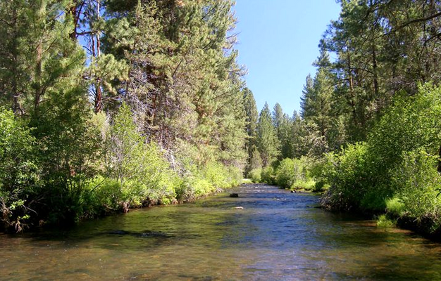 More than Worth it 1.43 Acres Near River in Oregon only $269 Monthly