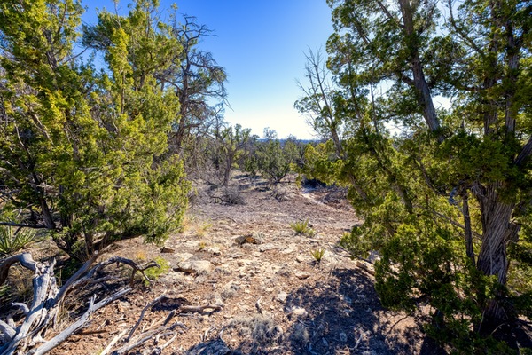 Unrestricted Land w/ Mountain Views: 2.5 Acres for $150/mo