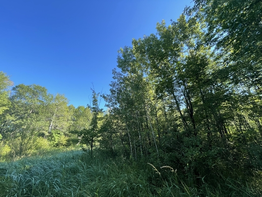 No time limit to build, camp on your land, 1.09 acres in Port Mille Lacs Ranchoes.