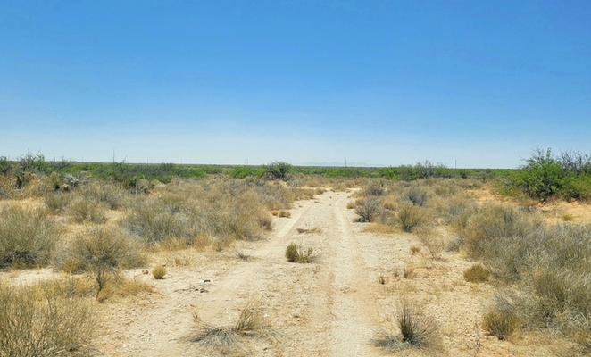 BEAT THE HEAT: Own 1.5 acres in El Paso, TX