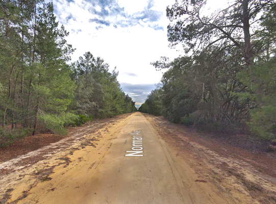 Beautiful Land For Your Dream Home In Interlachen, Florida