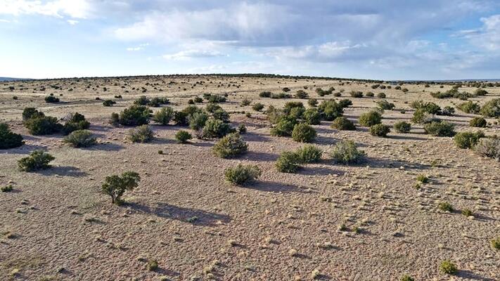 Secure Your Future: 1 Acre in Serene Apache County, AZ!