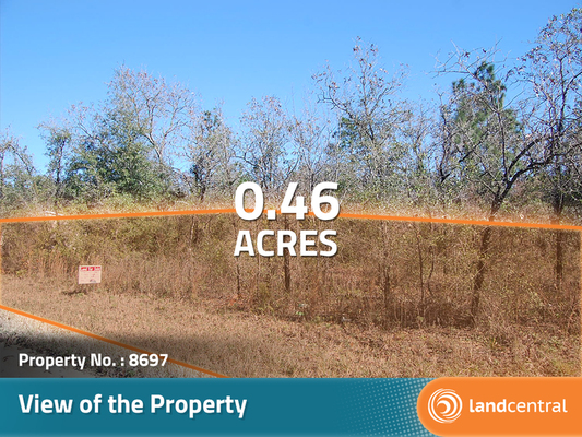 0.46 acres in Levy, Florida - Less than $220/month