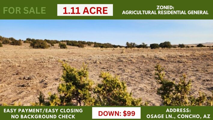 No Time Limit for Camping on This 1.11 acre Concho, AZ Land!