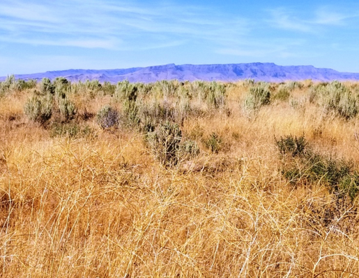 Nevada, Humboldt County, 41.38 Acres Near Winnemucca, Lot 07