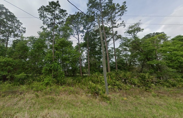 Plant Roots in FL: Prime Raw Land at $191/Mo