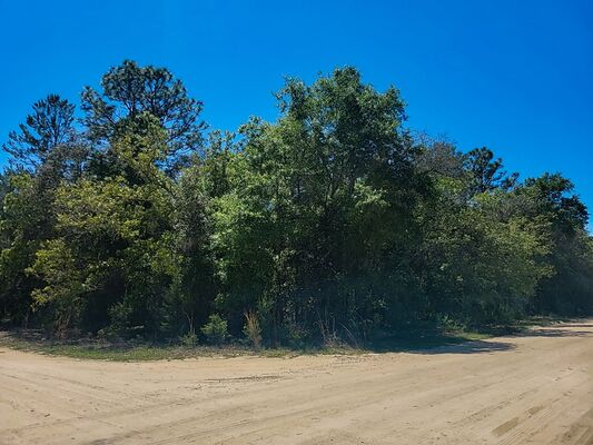 There’s a lot to like about this fifth-acre wooded corner lot near Lake Grandin! Mobile homes approved!