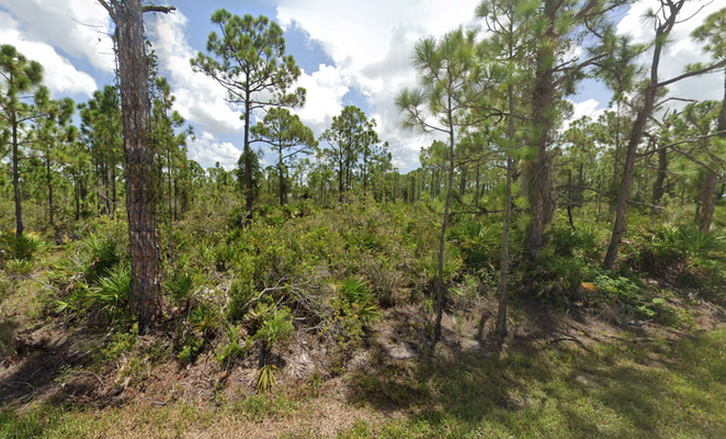 Gorgeous 0.16 Acres in Charlotte County!