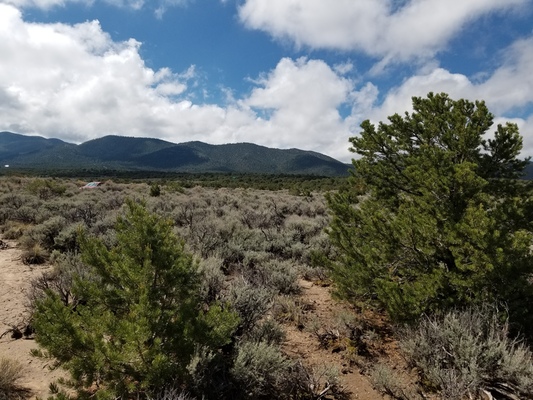 SOLD-!!!!Best 5 Acres of Sweet Loneliness in CO only $349/ MO