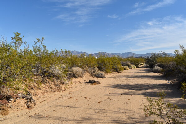 2.35 Acre Desert Retreat with no HOA