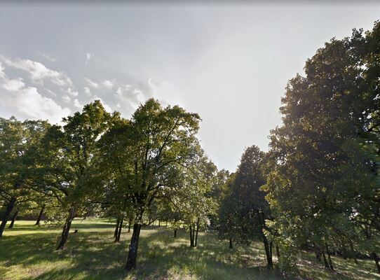 Experience the bliss: 0.0908 acres in Ozark just $75/Mo!
