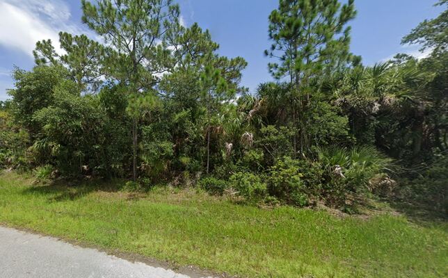 Start Building Memories On 0.22 Acres in FL! Only $249/Mo