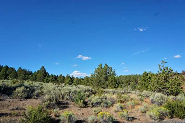 1.48 Acres to Reconnect with Nature only $269 Mo