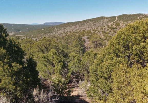 SOLD! 7.2-Acre Mountain Property with Overlooking Views in CO!