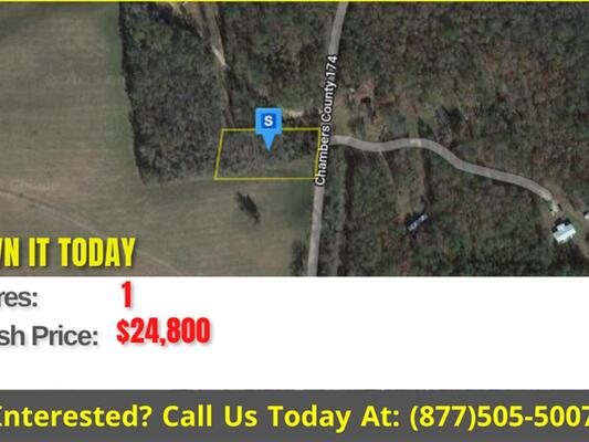 INCREDIBLE 1 ACRE LAND in Chambers County