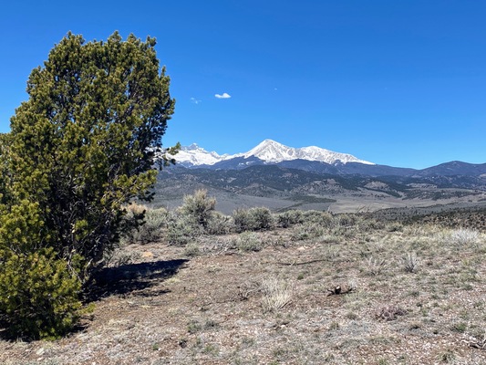 Hills and Trees on 5 Colorado Mountain Acres!