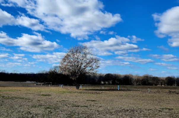 0.19 Acres to Build Your Dream Retreat in TX  for $155/ Mo!