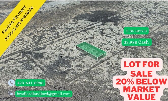 Buy Your Dream Land: 0.85 Acre Lot, Cochise, AZ