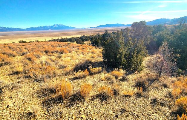10 Acres of Pure Freedom in Elko County, Nevada