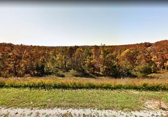 0.33 Acres To Transform Your Lakeside Paradise Only $3500!