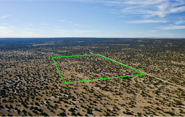 Large 92 Acre Parcel with Easy Road Access that Borders BLM!
