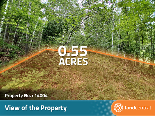 0.55 acres in Crow Wing County, Minnesota - Less than $150/month