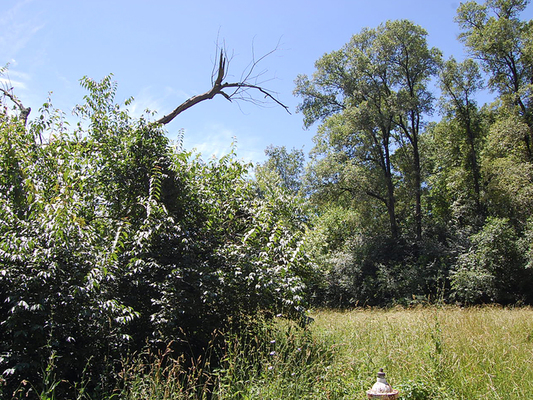 1.03 acres in Montgomery, Ohio - Less than $400/month