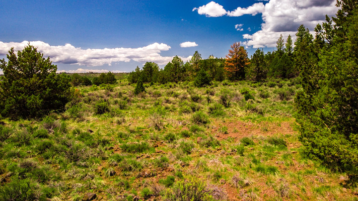 Klamath County - Corner Oregon Pines parcel, with option to purchase adjoining lot!