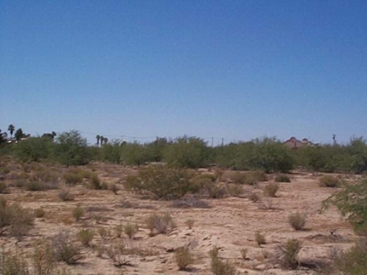 Shine the Sun on This Buildable 1 Acre NM Land for $75/mo