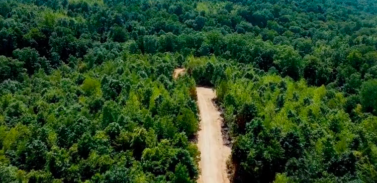 Breathtaking, Large Acreage Property Less Than Two Hours from Nashville!