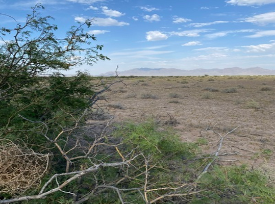 Deming, NM: 2.59 Acre Only $125/Mo! *Effortless Financing*