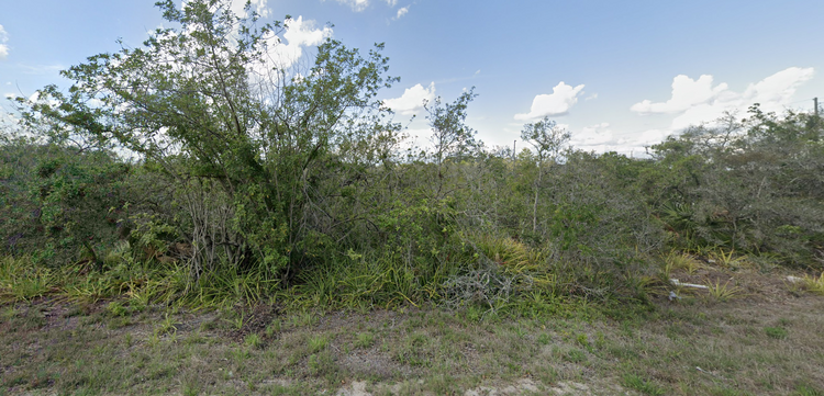 Discover Your Own Florida Oasis: 0.20 Acres Land for Sale Now! $500 DOWN. Owner Financing Available!