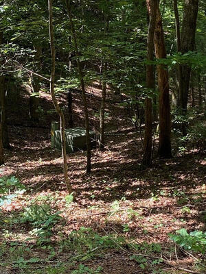 0 Roberts Rd, Blairsville, GA 30512