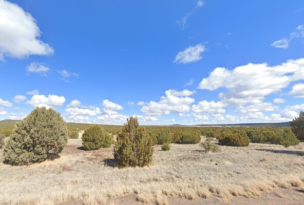 1.13 Acres in Concho, Arizona (only $200 a month)